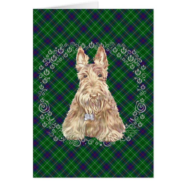 Duncan Tartan Scottie (Vorne)