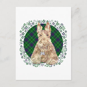 Duncan Tartan Scottie Postkarte