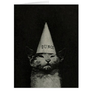 Dunce Cat - GRANDE carte / Invitations