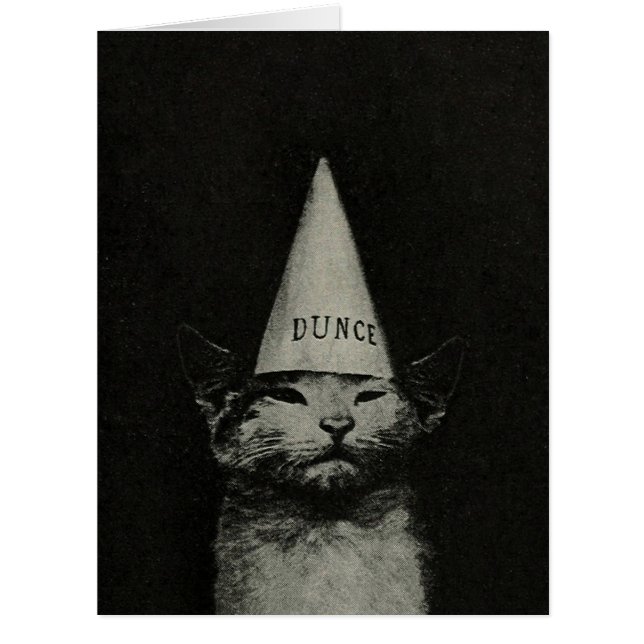 Dunce Cat - GRANDE carte / Invitations (Devant)
