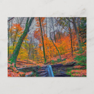 Dundee Falls im Herbst, Ohio Postkarte