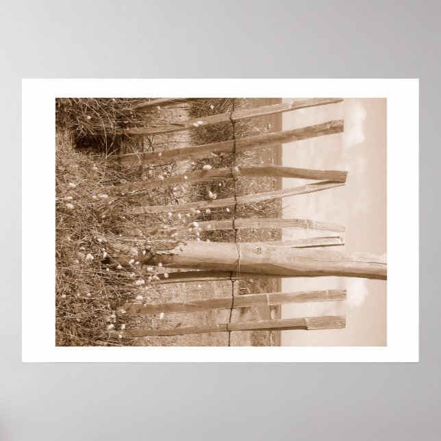 Düne Poster (Vorne)