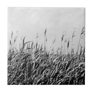 Dune Triptych III Fliese