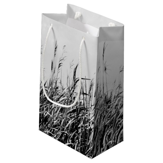 Dune Triptych III Kleine Geschenktüte (Rückseite Schrägansicht)
