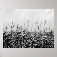 Dune Triptych III