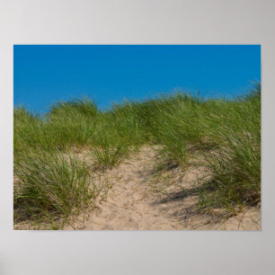 Düne und Hafer Poster