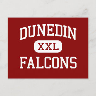 Dunedin - Falcons - High School - Dunedin Florida Postkarte