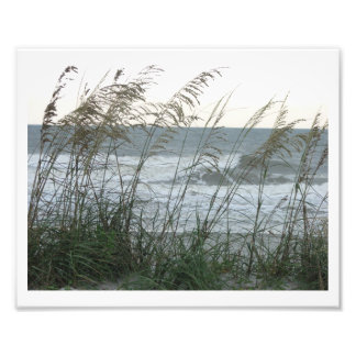 Dunegrass Fotodruck