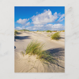 Dünen auf der Nordseeinsel Amrum Postkarte
