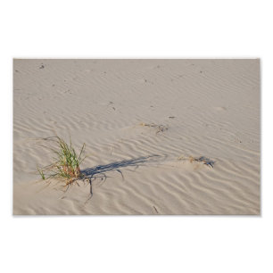 Dünen-Gras auf dem Strand Fotodruck