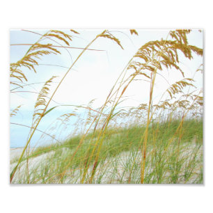 Dünen-Gras-weißer Sand-Strand Fotodruck