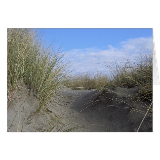 Dunes (Devant horizontal)