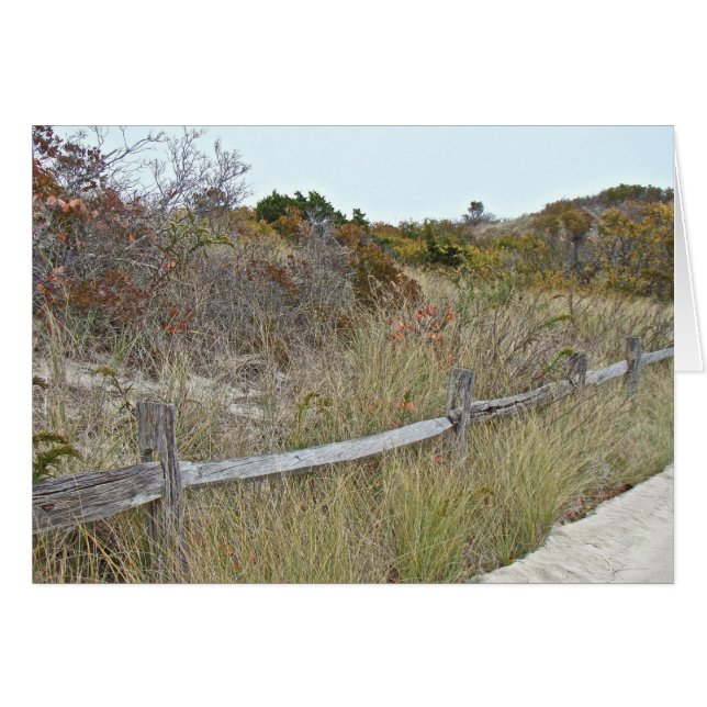 Dunes and Fence Island Beach Staat Park (Vorderseite (Horizontal))