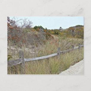 Dunes and Fence Island Beach Staat Park Postkarte