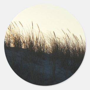 Dunes bei Sundown IBSP NJ Coordinated Items Runder Aufkleber