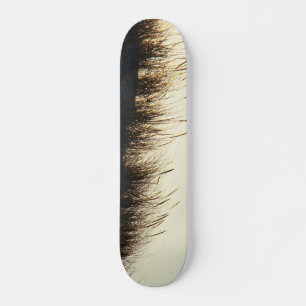Dunes bei Sundown IBSP NJ Skateboard