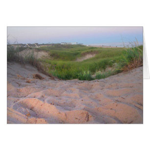Dunes dans Montauk