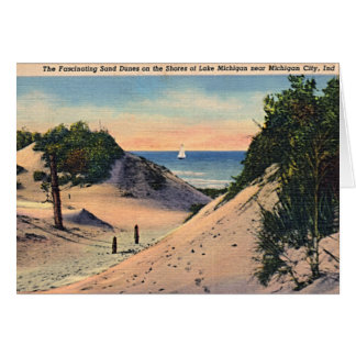 Dunes de sable de l'Indiana de ville du Michigan