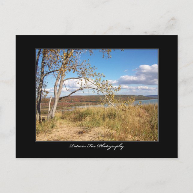 Dunes de sable de l'ours couché 1 - Carte postale (Devant)