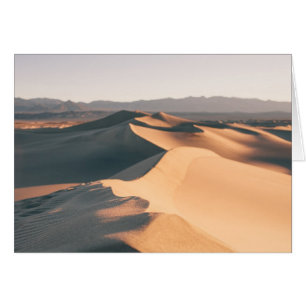 Dunes de sable de Mesquite dans la vallée de la Mo