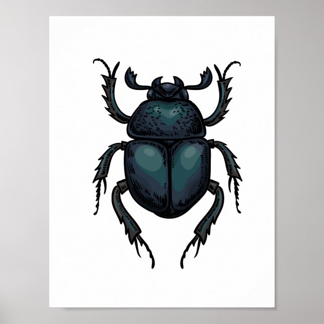 Dung Käfer Poster (Vorne)