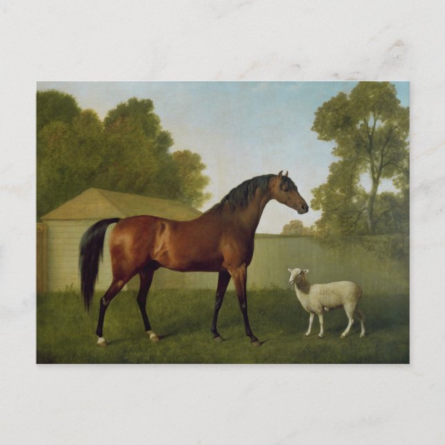 Dungannon, das Eigentum von Oberst O'Kelly Postkarte (Vorderseite)