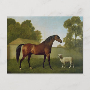 Dungannon, das Eigentum von Oberst O'Kelly Postkarte