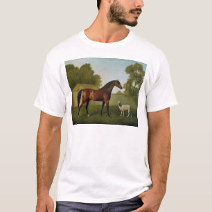 Dungannon, das Eigentum von Oberst O'Kelly T-Shirt