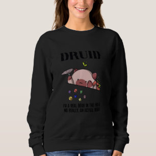 Dungeon Crawler Dragon Master Dm Gaming Cat Druid Sweatshirt