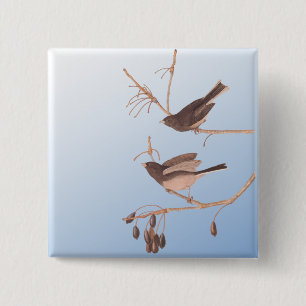 Dunkel-Mit Augen Junco Audubon-Schneebären auf der Button