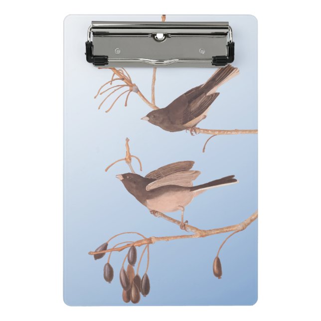 Dunkel-Mit Augen Junco Audubon-Schneebären auf der Mini Klemmbrett (Vorderseite)