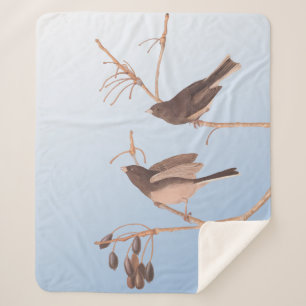 Dunkel-Mit Augen Junco Audubon-Schneebären auf der Sherpadecke