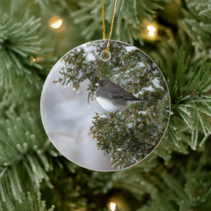 Dunkel-mit Augen Junco Keramik Ornament