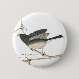 Dunkel-mit Augen Junco, schieferfarbener Audubon B Button