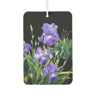 Dunkelblaue Irisblüten Autolufterfrischer