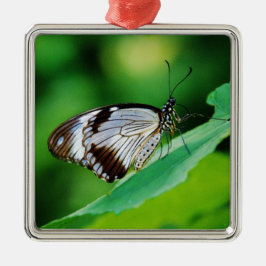 Dunkelbraun und Grauschmetterling Ornament Aus Metall