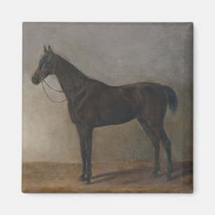 Dunkelbraunes Gelbpferd (Vintage Tierkunst) Magnet