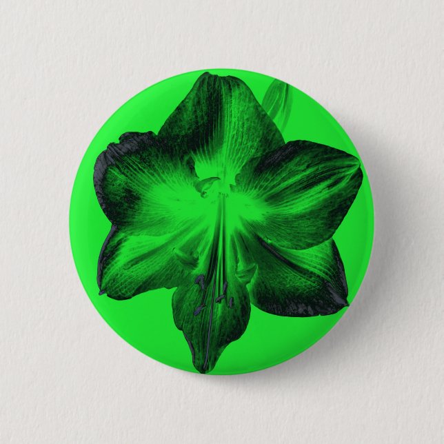 Dunkelgrün auf hellgrünen Amaryllis Button (Vorderseite)