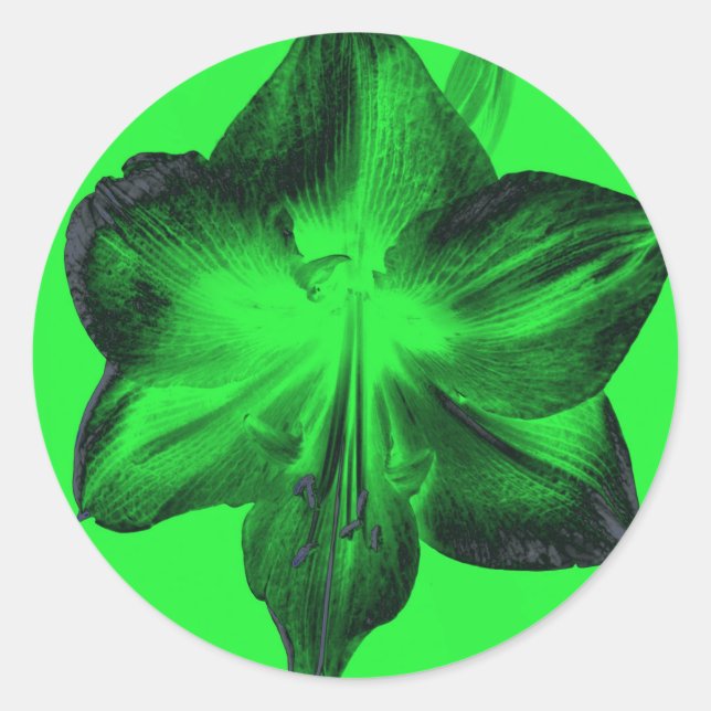 Dunkelgrün auf hellgrünen Amaryllis Runder Aufkleber (Vorderseite)
