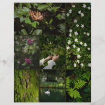 Dunkelgrünes Nature Core Scrapbooking Papier