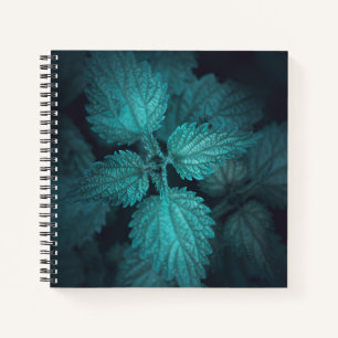 Dunkelhaltiges Nesselnatur-Foto Notizbuch