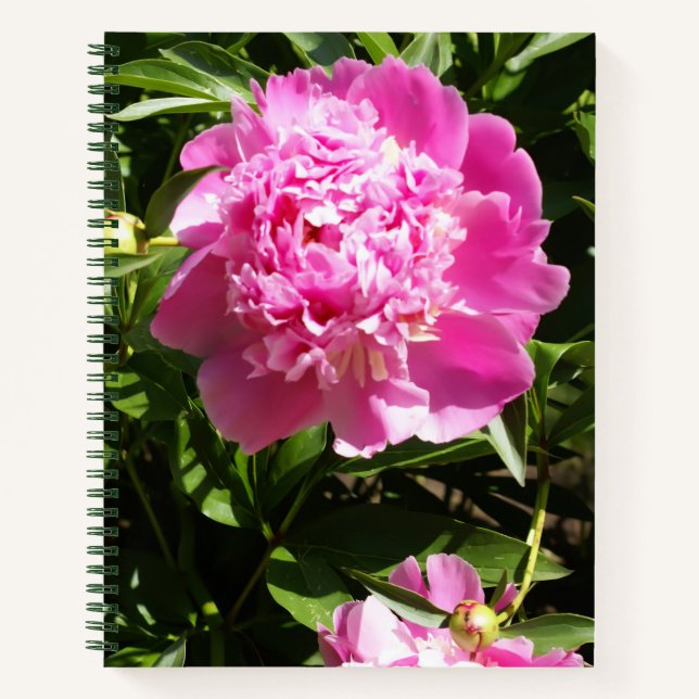 Dunkelrosa Erdnüsse Notizbuch (Vorderseite)