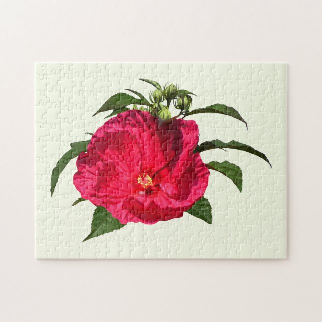 Dunkelrosa Hibiskus (Horizontal)