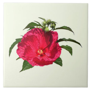 Dunkelrosa Hibiskus Fliese