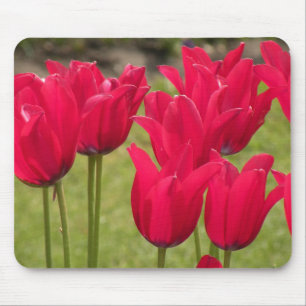 Dunkelrosa oder roter Mauspad mit Tulpen