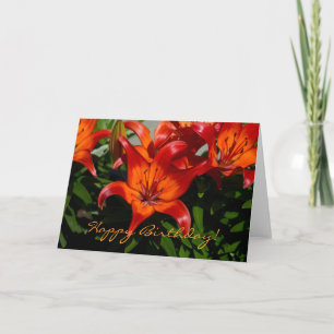 Dunkelrosa Orange Lily Karte