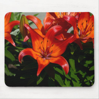 Dunkelrosa Orange Lily Mousepad