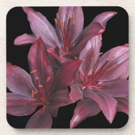 Dunkelrote Asiatische Lilien auf schwarzer Flora Getränkeuntersetzer