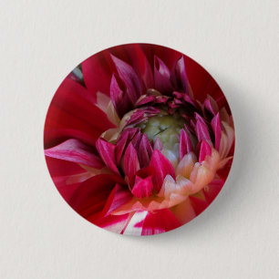 dunkelrote Blüte Button