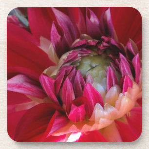 dunkelrote Blüte Untersetzer